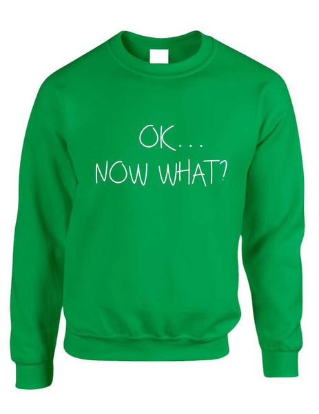 Adult Crewneck OK Now What? Funny Cool Stuff Humor Top - ALLNTRENDSHOP - 2
