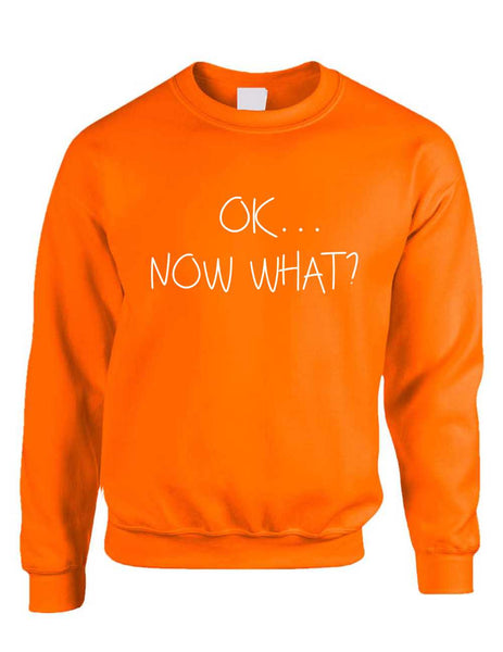Adult Crewneck OK Now What? Funny Cool Stuff Humor Top - ALLNTRENDSHOP - 4