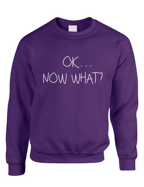 Adult Crewneck OK Now What? Funny Cool Stuff Humor Top - ALLNTRENDSHOP - 5