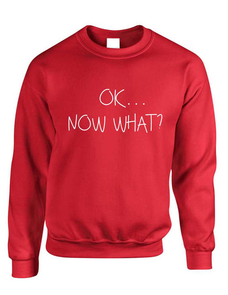 Adult Crewneck OK Now What? Funny Cool Stuff Humor Top - ALLNTRENDSHOP - 6